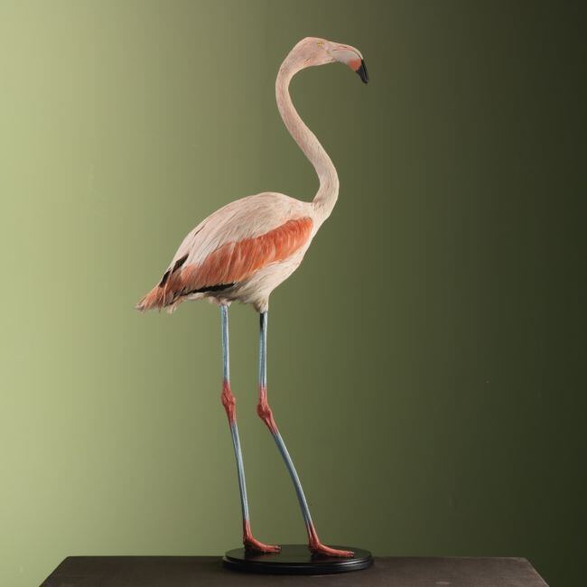 3351 Grote Flamingo