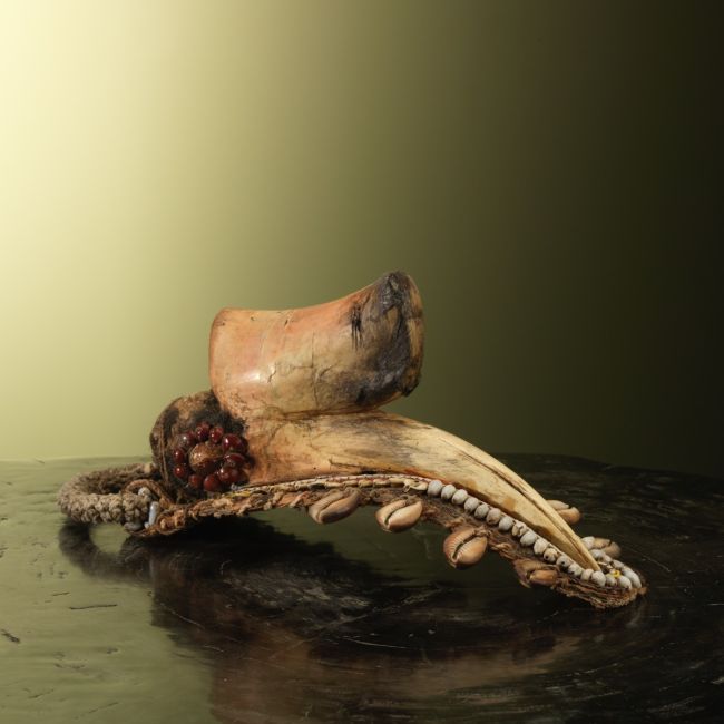 3400 Neushoornvogel Schedel Tribal