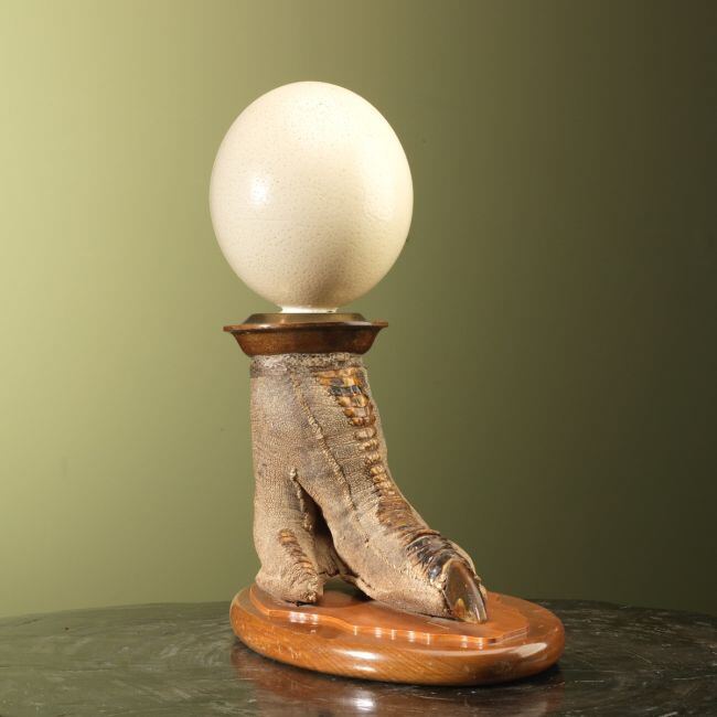 3436 Struisvogel Poot met Ei