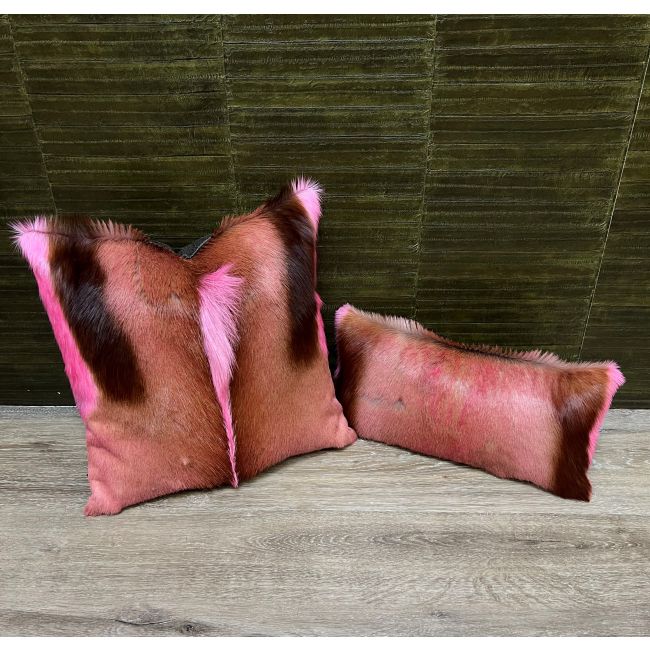 DL_KUSSEN SPRINGBOK 4.1