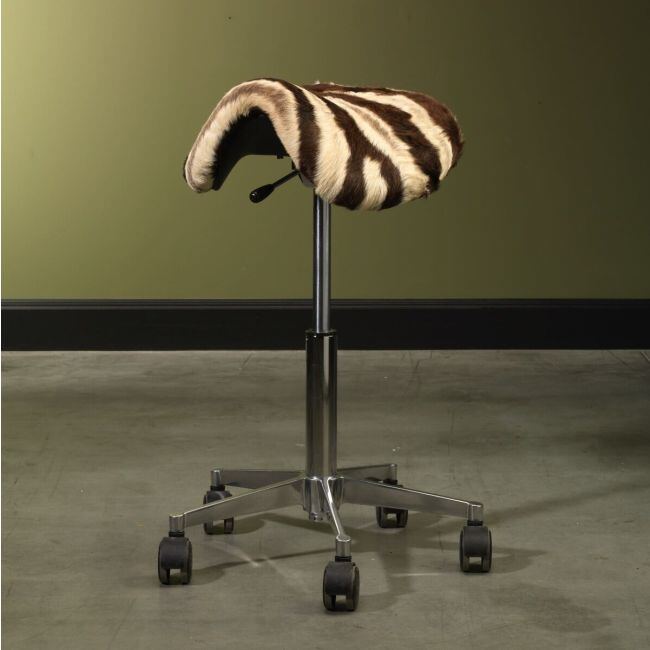 Zadelzit Zebra 1
