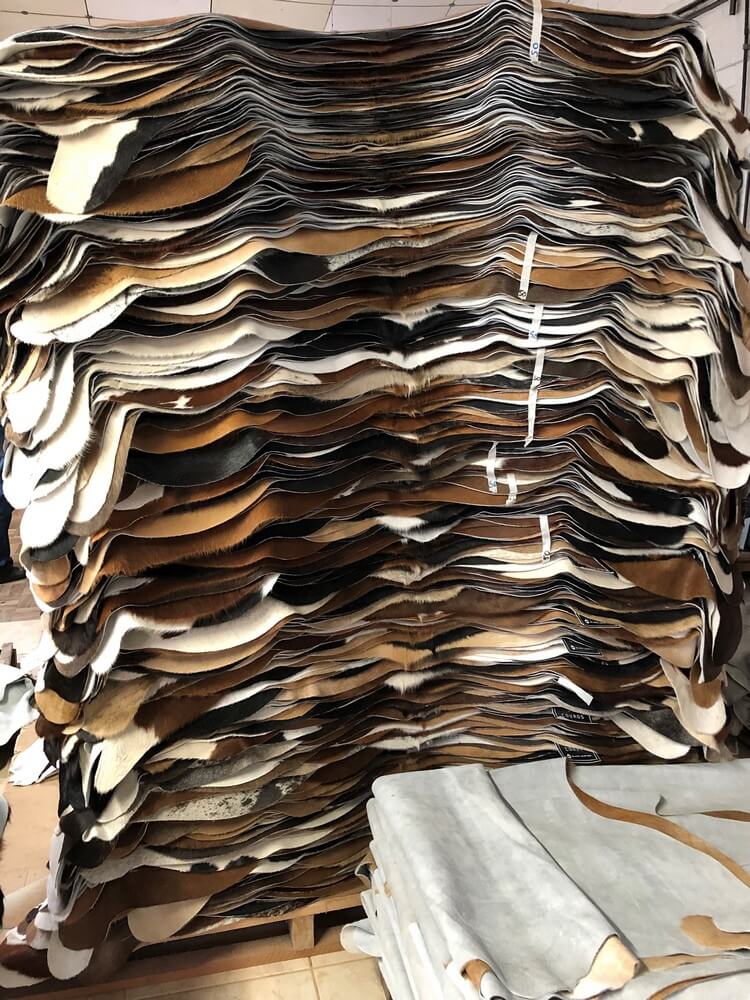 Partijkorting Partijkorting